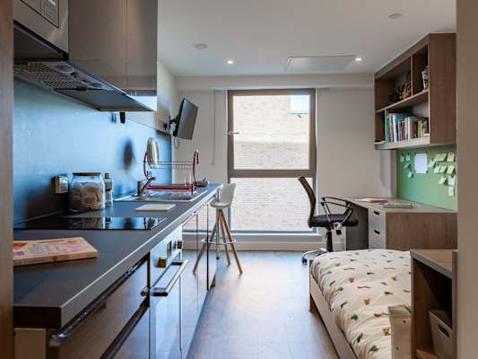 Superior Studio room type